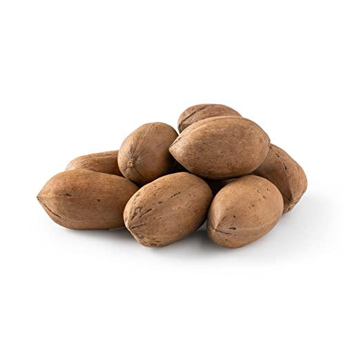 NUTS U.S. Pecans In Shell, 1 LB