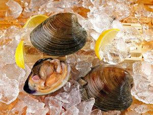 Cherrystone Clams - Dozen