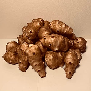 Sunchokes - 5 pounds for Planting or Eating