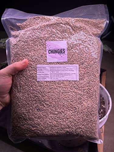 10lb Organic Rye Grain for Mushroom Spawn