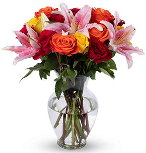 BENCHMARK BOUQUETS - Big Blooms (Glass Vase Included)