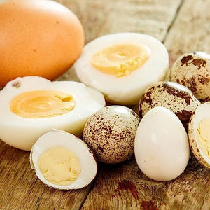 Undique Fresh Quail Eggs, 12 Pack