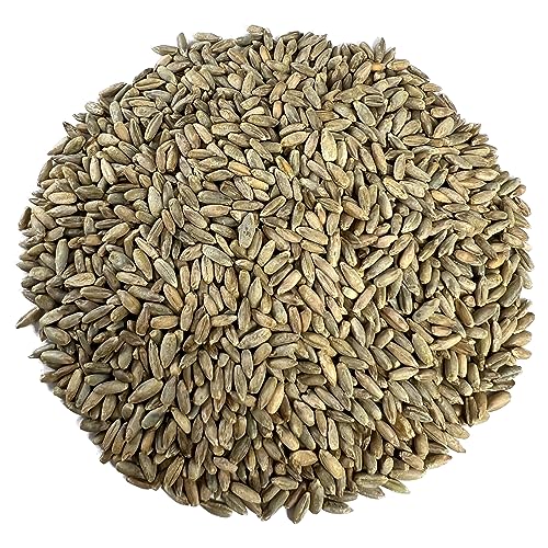 100% Organic Rye Berries, Non-GMO, Kosher, Raw, 5 lbs